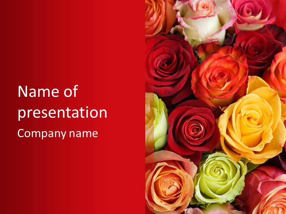 A Bouquet Of Multi-Coloured Roses. Focus On Middle Roses. PowerPoint Template