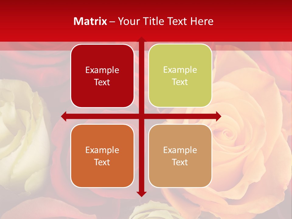 A Bouquet Of Multi-Coloured Roses. Focus On Middle Roses. PowerPoint Template
