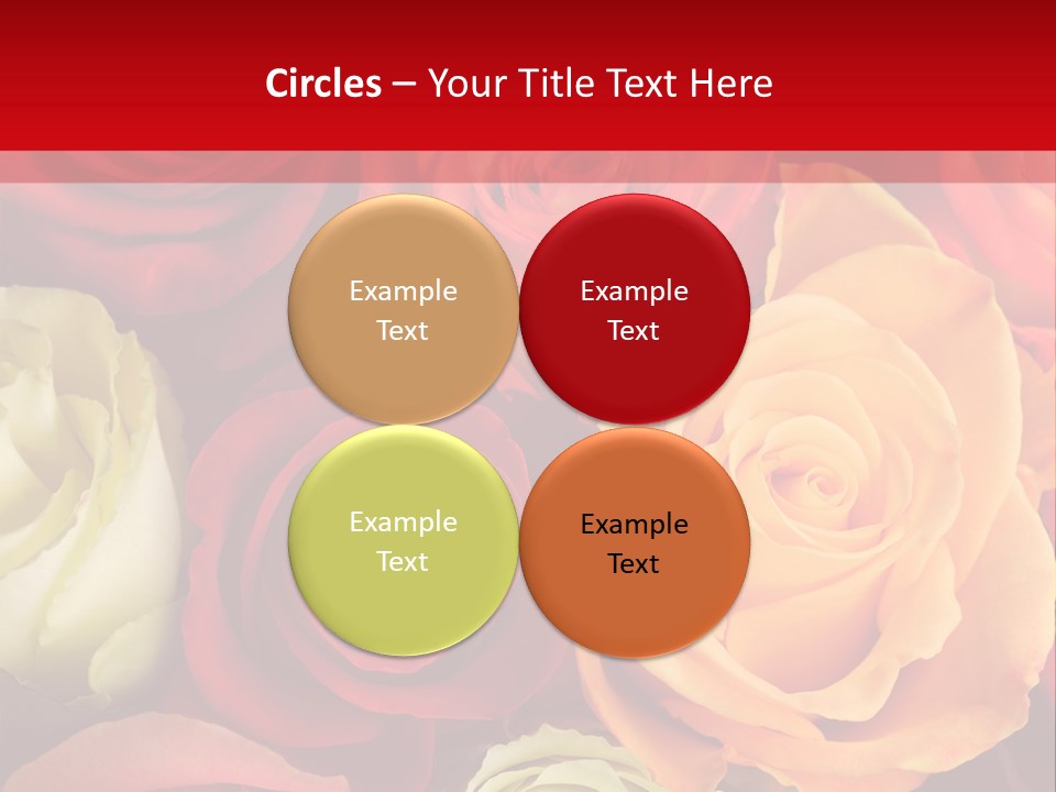 A Bouquet Of Multi-Coloured Roses. Focus On Middle Roses. PowerPoint Template