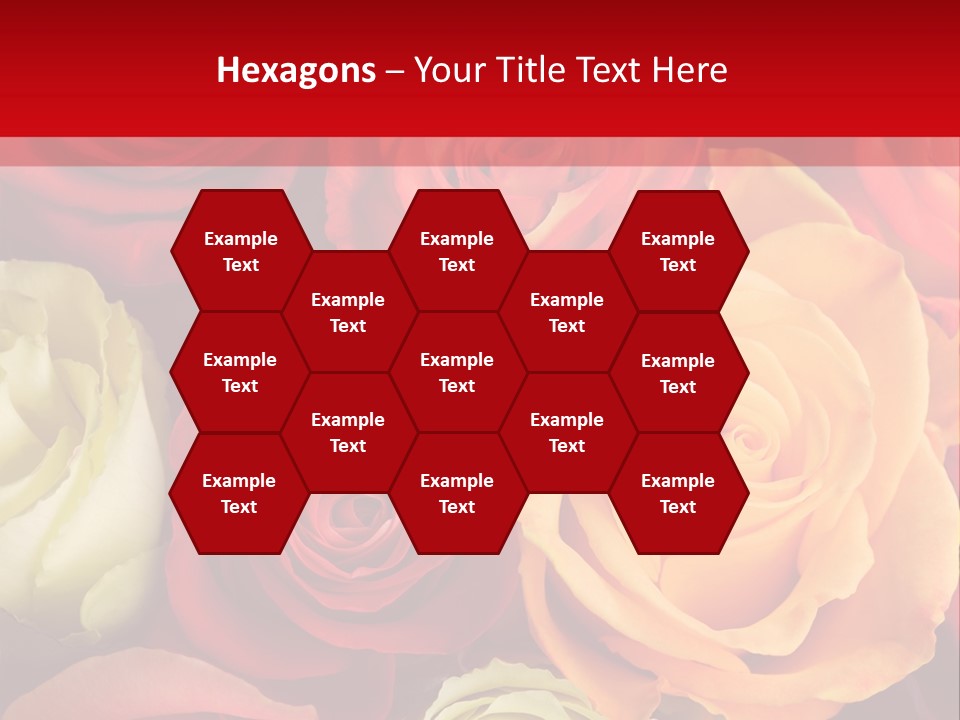 A Bouquet Of Multi-Coloured Roses. Focus On Middle Roses. PowerPoint Template