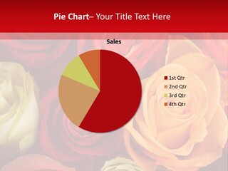 A Bouquet Of Multi-Coloured Roses. Focus On Middle Roses. PowerPoint Template