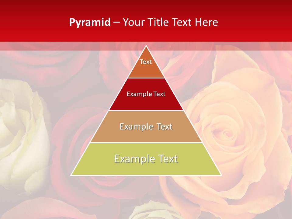 A Bouquet Of Multi-Coloured Roses. Focus On Middle Roses. PowerPoint Template