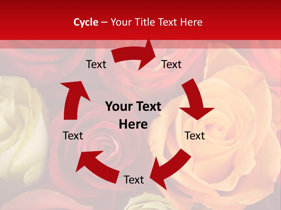 A Bouquet Of Multi-Coloured Roses. Focus On Middle Roses. PowerPoint Template