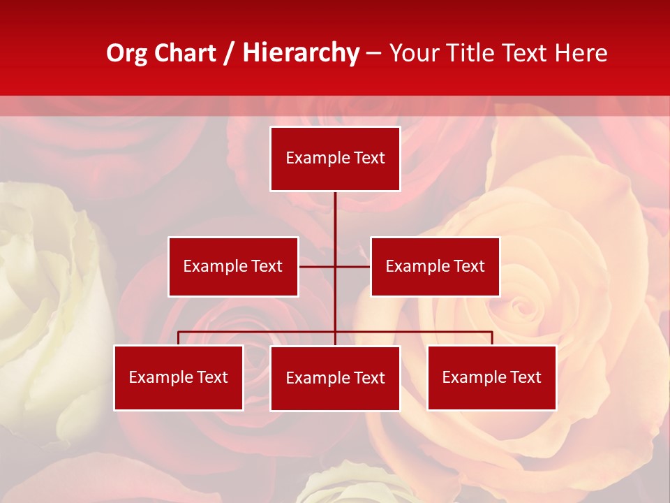 A Bouquet Of Multi-Coloured Roses. Focus On Middle Roses. PowerPoint Template
