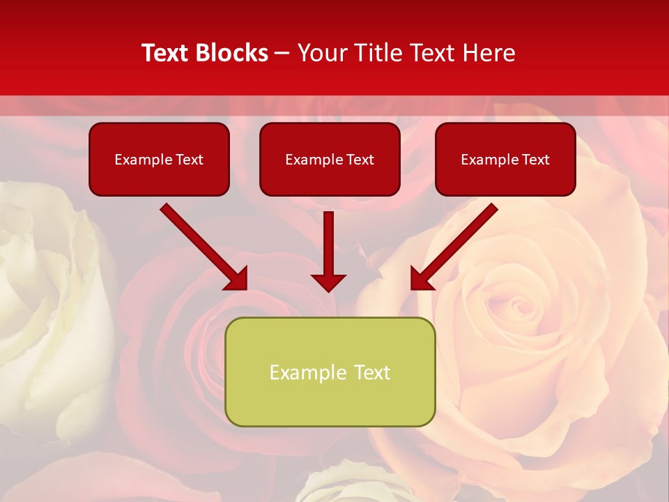 A Bouquet Of Multi-Coloured Roses. Focus On Middle Roses. PowerPoint Template