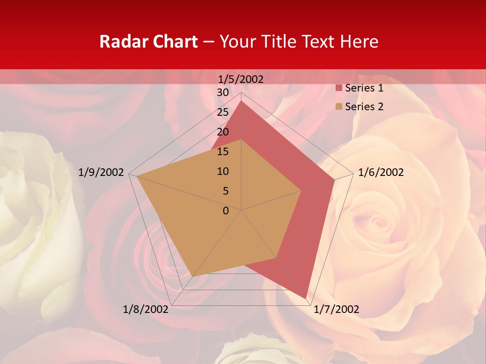 A Bouquet Of Multi-Coloured Roses. Focus On Middle Roses. PowerPoint Template