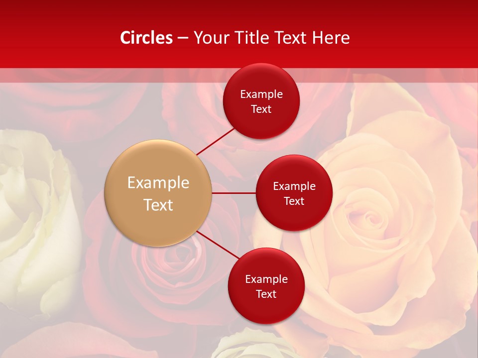 A Bouquet Of Multi-Coloured Roses. Focus On Middle Roses. PowerPoint Template