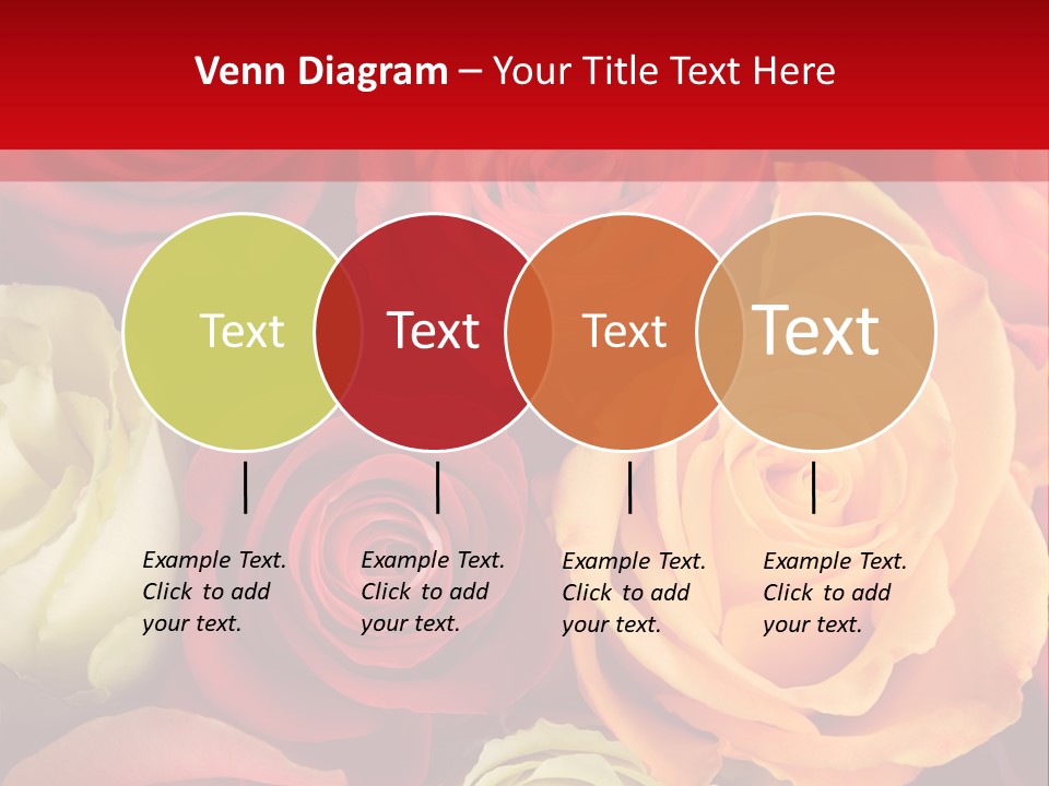 A Bouquet Of Multi-Coloured Roses. Focus On Middle Roses. PowerPoint Template