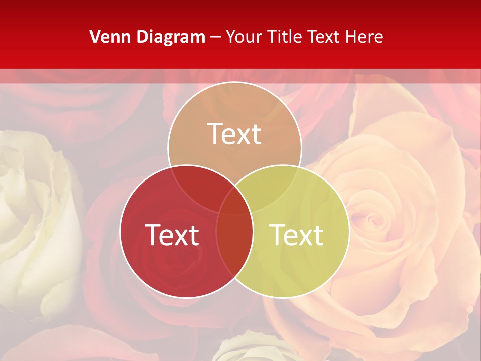 A Bouquet Of Multi-Coloured Roses. Focus On Middle Roses. PowerPoint Template