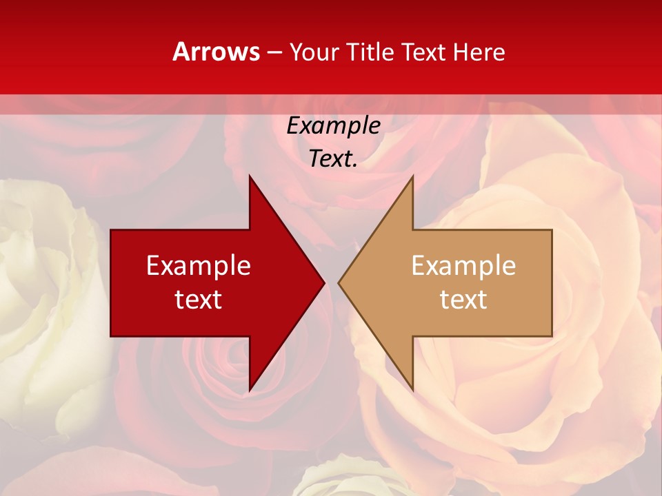 A Bouquet Of Multi-Coloured Roses. Focus On Middle Roses. PowerPoint Template