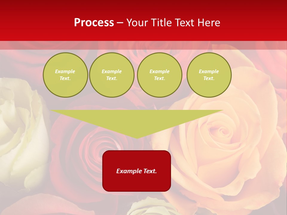 A Bouquet Of Multi-Coloured Roses. Focus On Middle Roses. PowerPoint Template