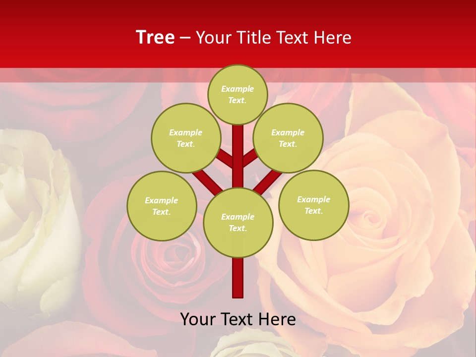 A Bouquet Of Multi-Coloured Roses. Focus On Middle Roses. PowerPoint Template