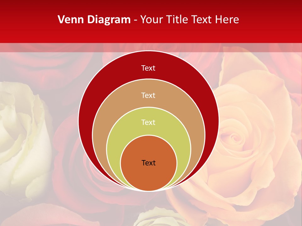 A Bouquet Of Multi-Coloured Roses. Focus On Middle Roses. PowerPoint Template