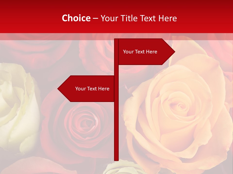 A Bouquet Of Multi-Coloured Roses. Focus On Middle Roses. PowerPoint Template