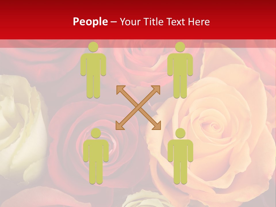 A Bouquet Of Multi-Coloured Roses. Focus On Middle Roses. PowerPoint Template