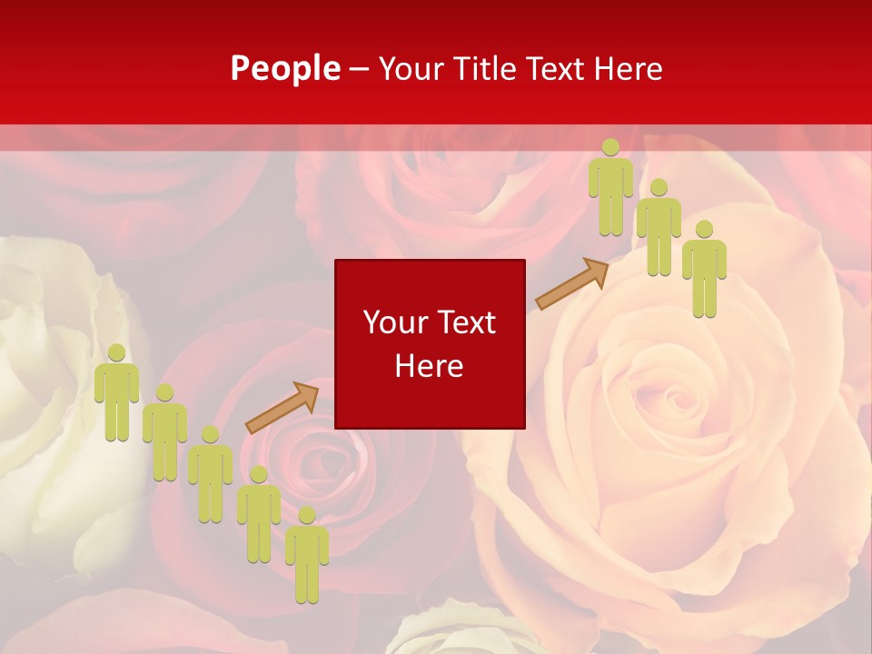 A Bouquet Of Multi-Coloured Roses. Focus On Middle Roses. PowerPoint Template