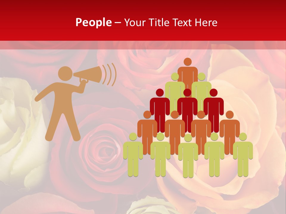 A Bouquet Of Multi-Coloured Roses. Focus On Middle Roses. PowerPoint Template