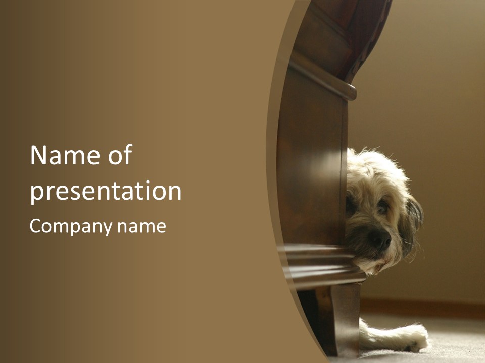Dog Around The Corner PowerPoint Template