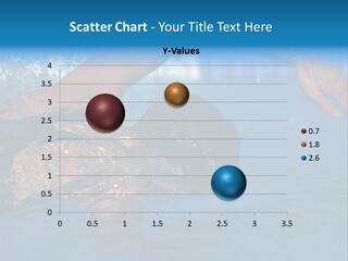 Scottish Highlands - Heather PowerPoint Template