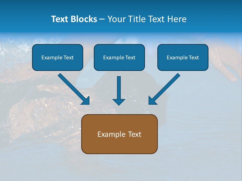 Scottish Highlands - Heather PowerPoint Template