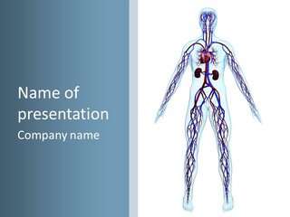 Cardiovascular System PowerPoint Template