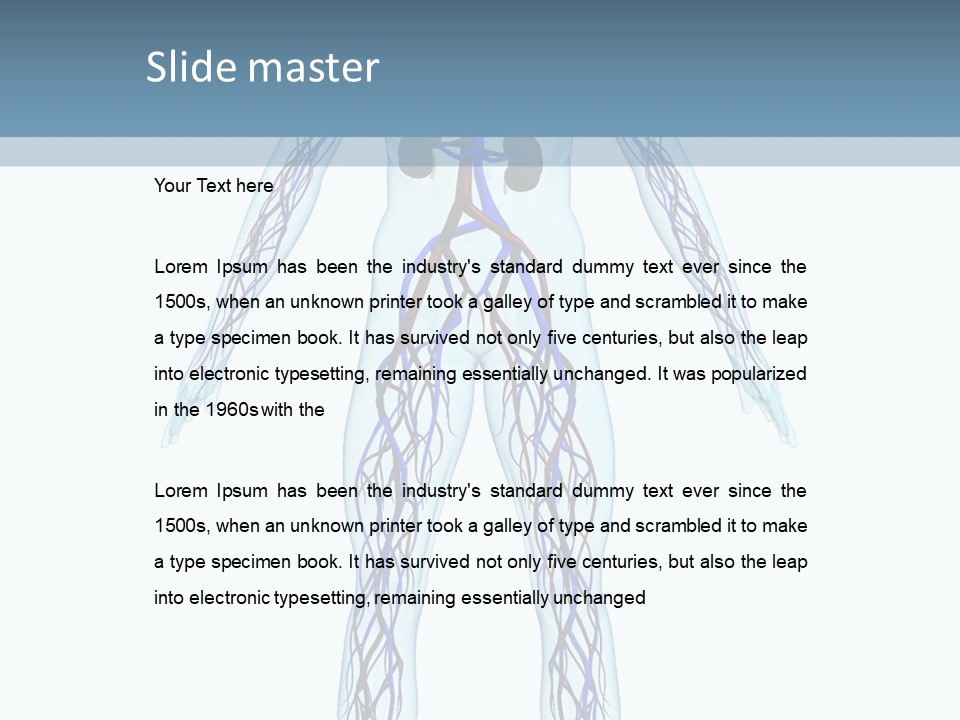 Cardiovascular System PowerPoint Template