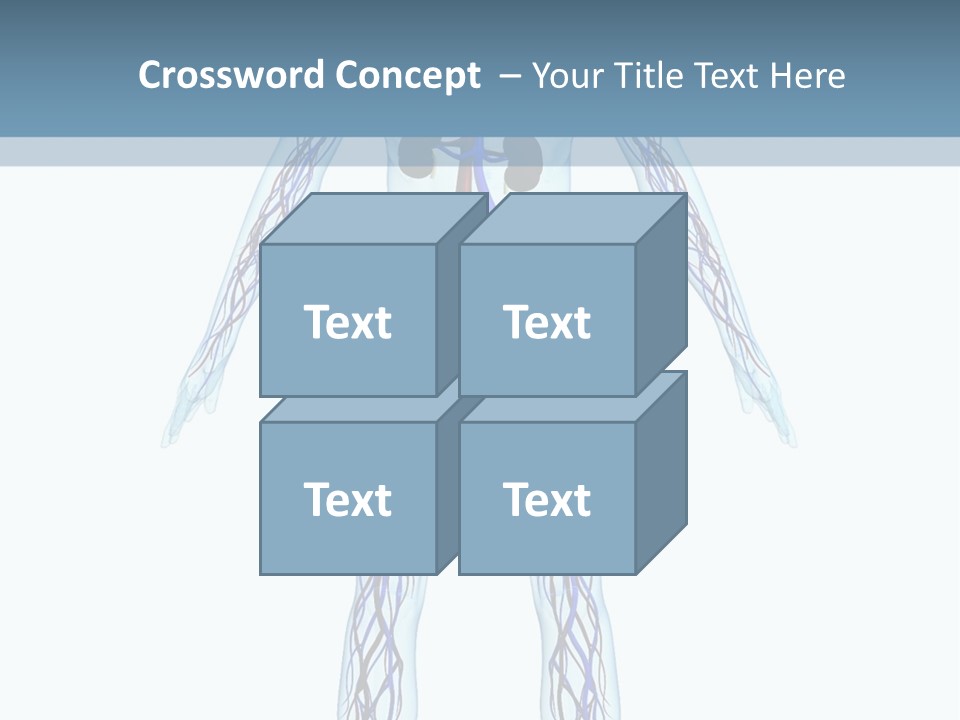 Cardiovascular System PowerPoint Template