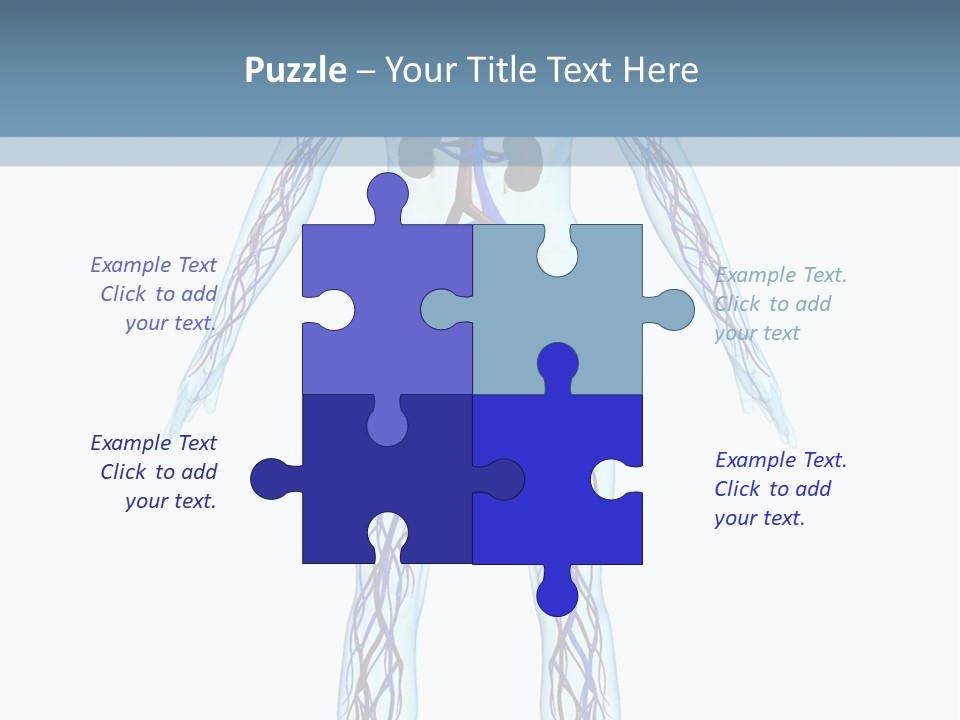 Cardiovascular System PowerPoint Template