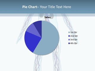 Cardiovascular System PowerPoint Template