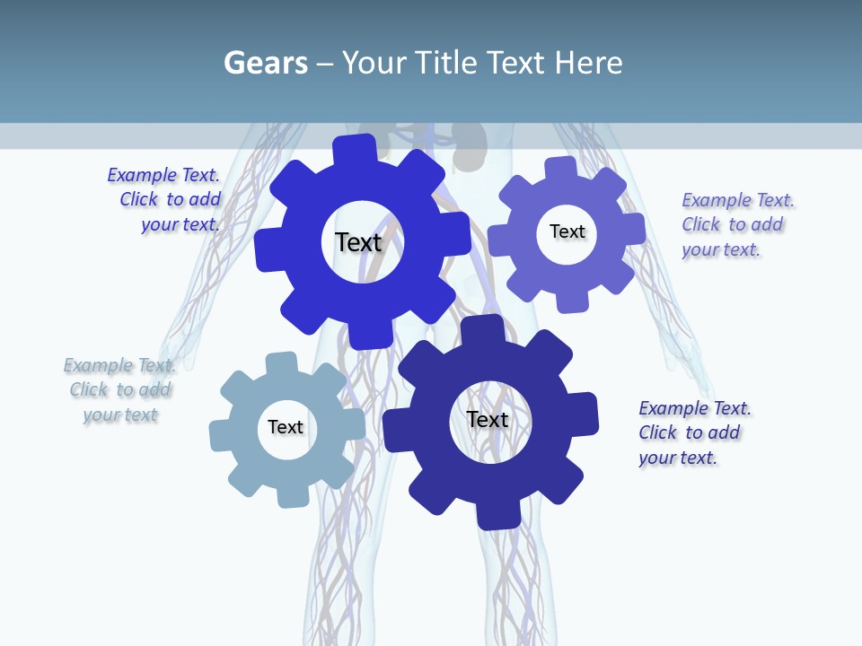 Cardiovascular System PowerPoint Template