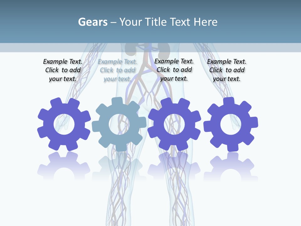 Cardiovascular System PowerPoint Template