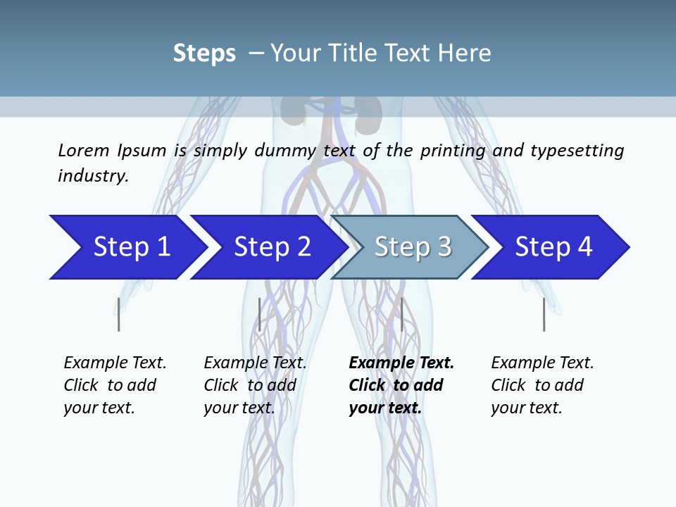 Cardiovascular System PowerPoint Template