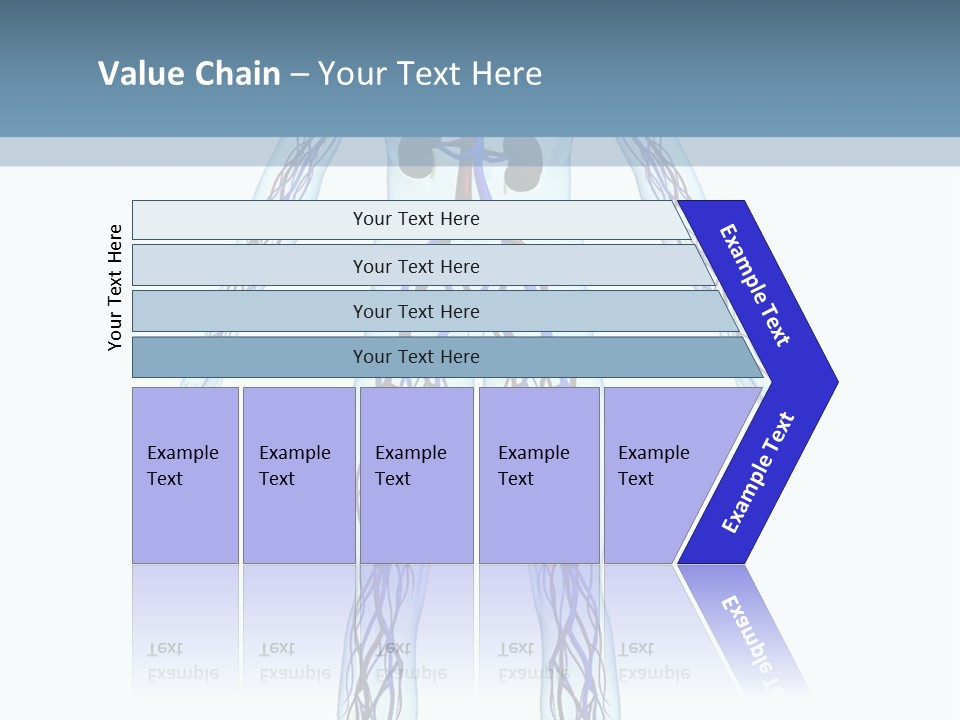 Cardiovascular System PowerPoint Template
