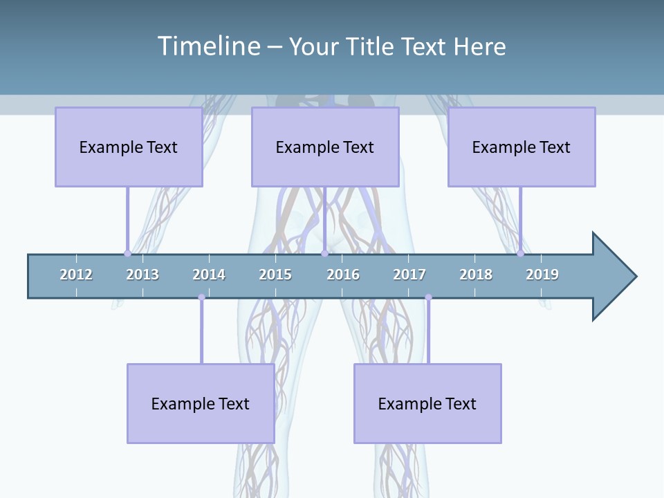 Cardiovascular System PowerPoint Template