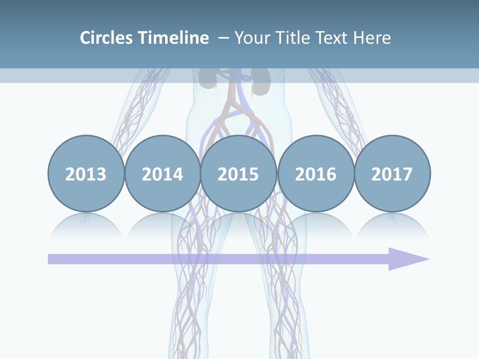 Cardiovascular System PowerPoint Template