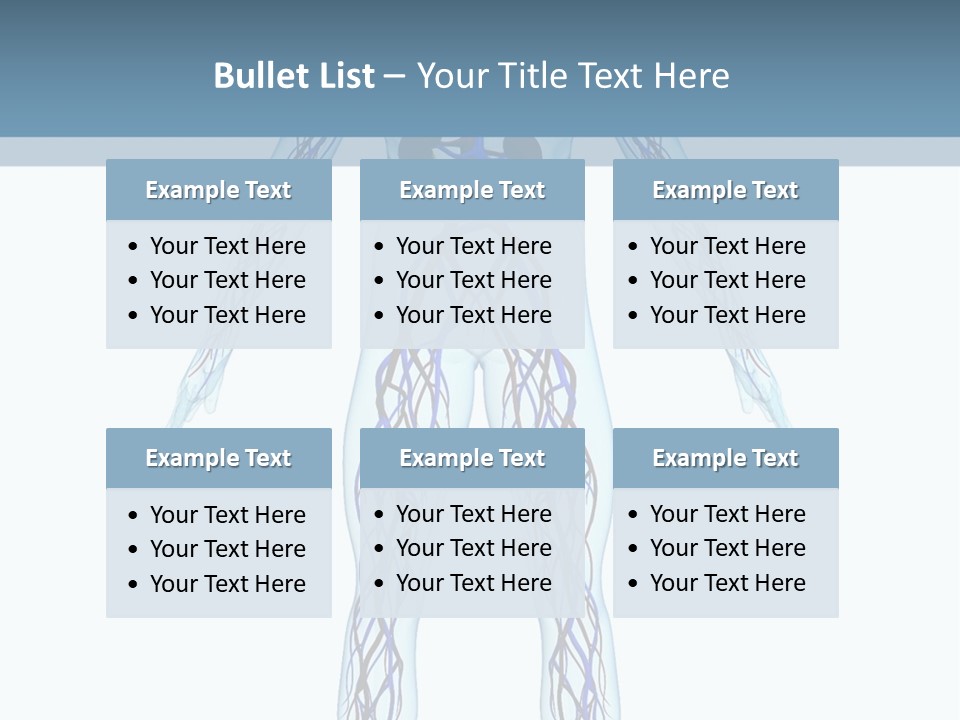 Cardiovascular System PowerPoint Template