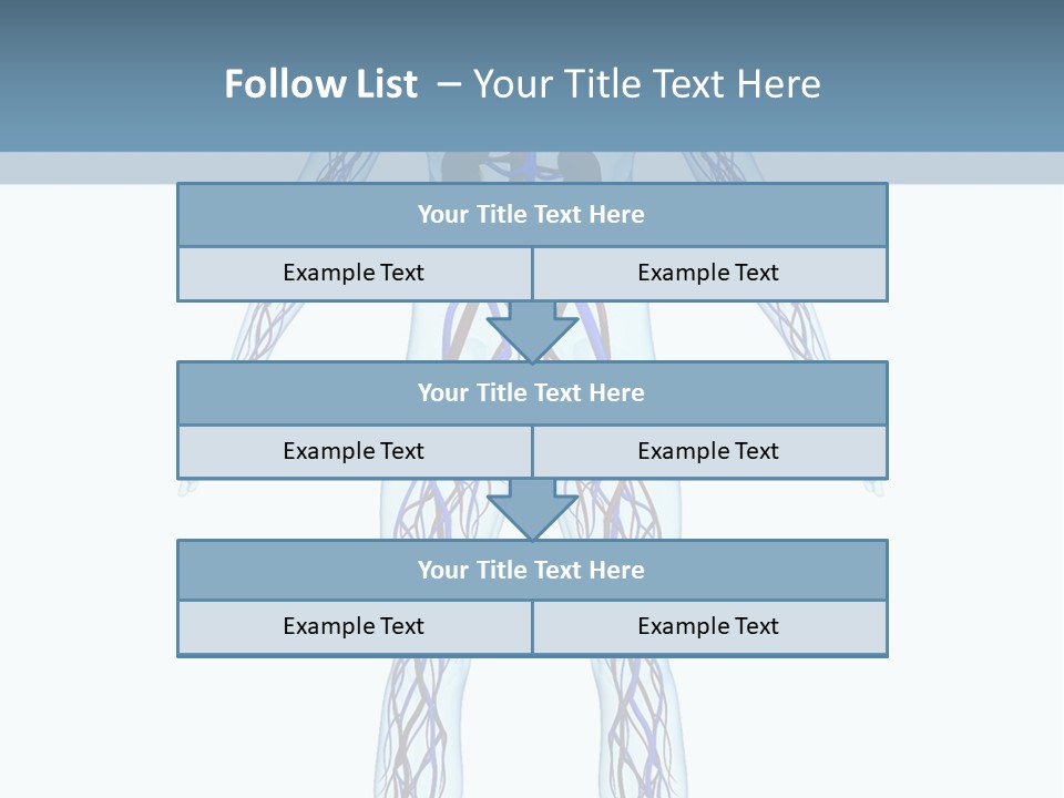 Cardiovascular System PowerPoint Template