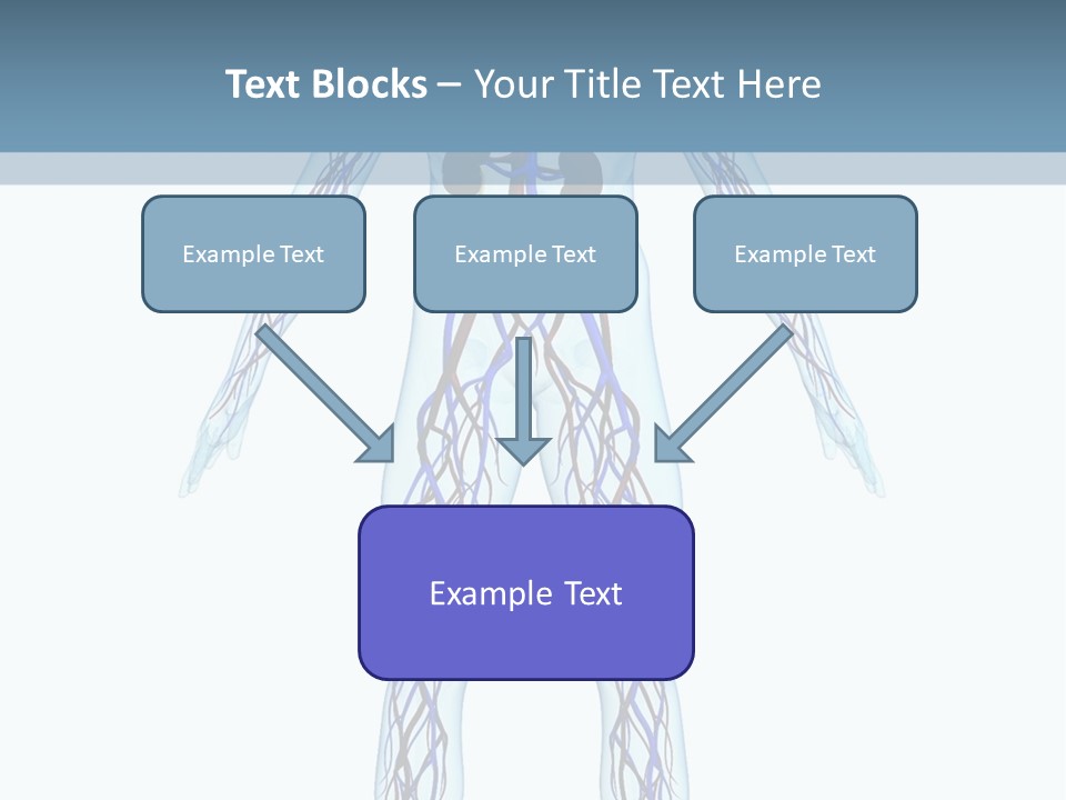 Cardiovascular System PowerPoint Template