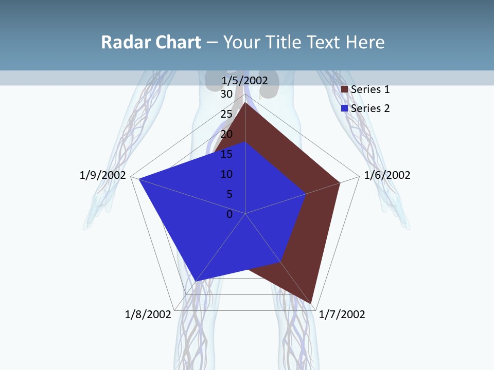 Cardiovascular System PowerPoint Template