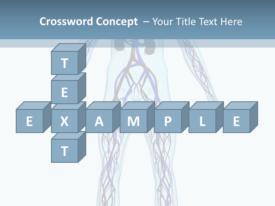 Cardiovascular System PowerPoint Template