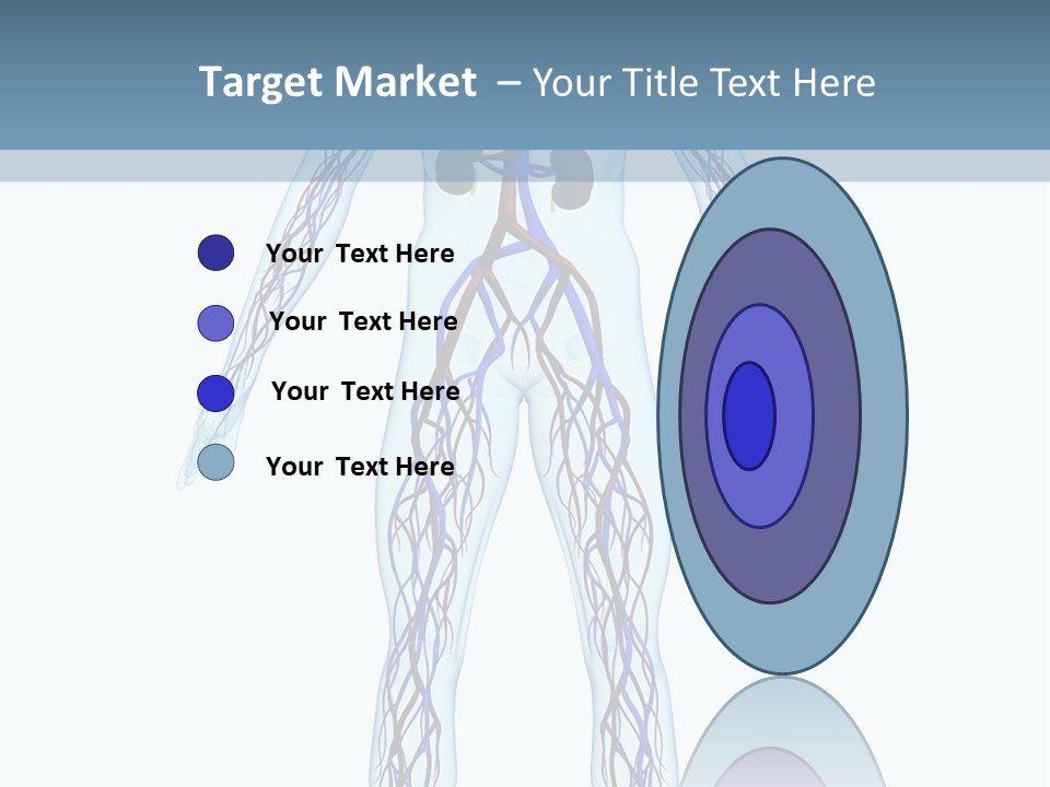 Cardiovascular System PowerPoint Template