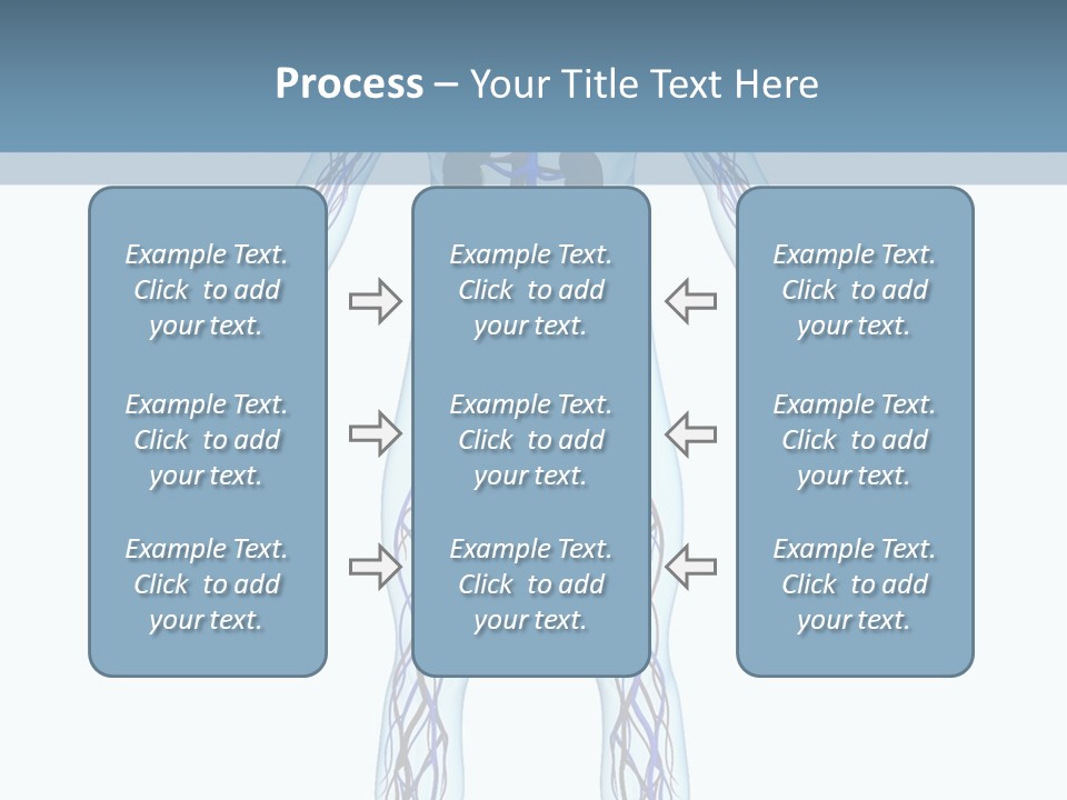 Cardiovascular System PowerPoint Template