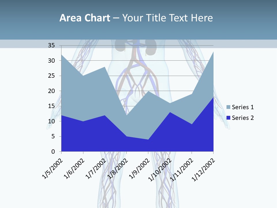 Cardiovascular System PowerPoint Template