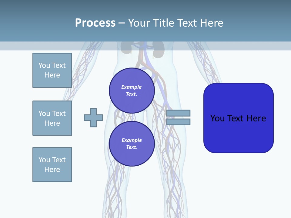 Cardiovascular System PowerPoint Template