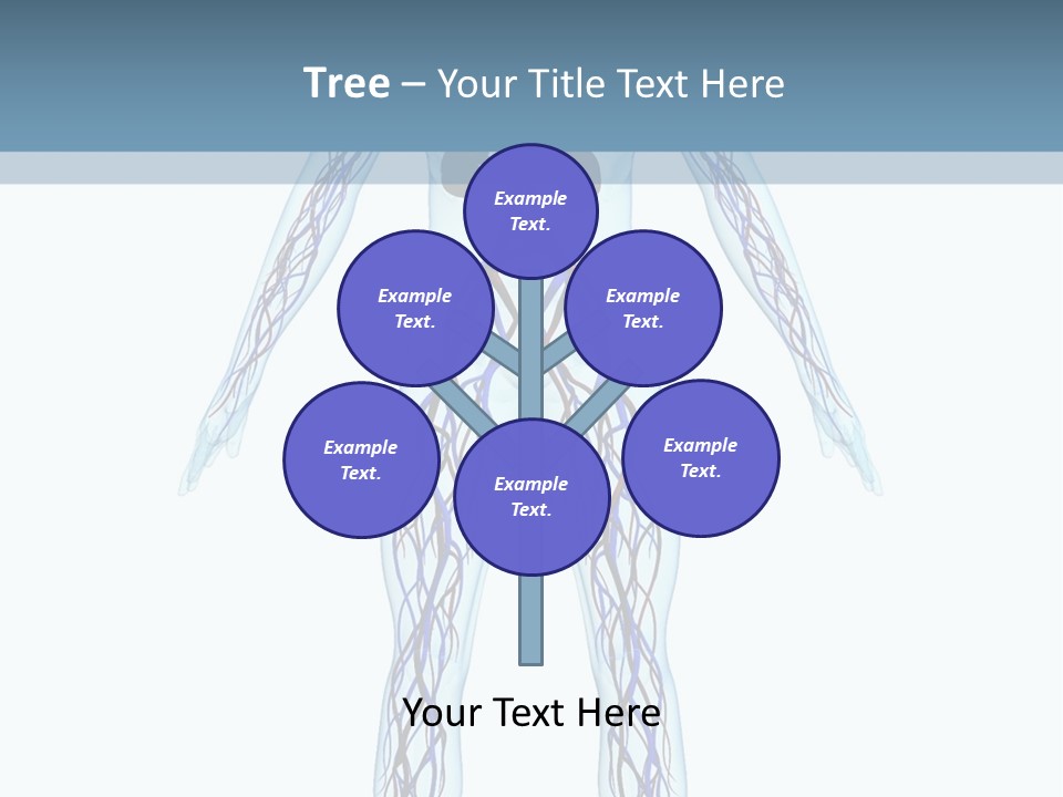 Cardiovascular System PowerPoint Template