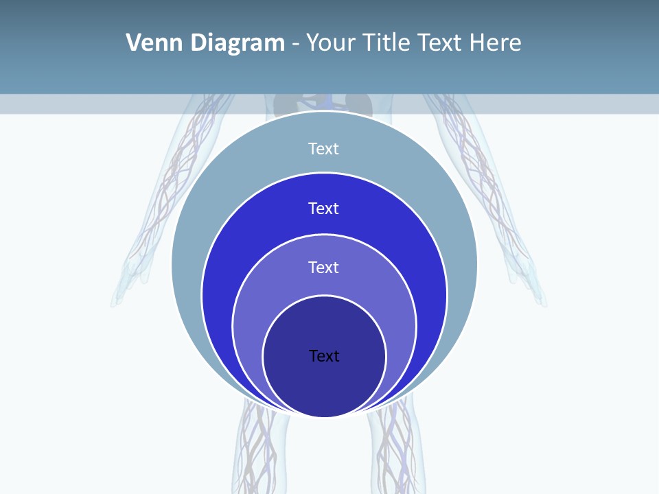 Cardiovascular System PowerPoint Template