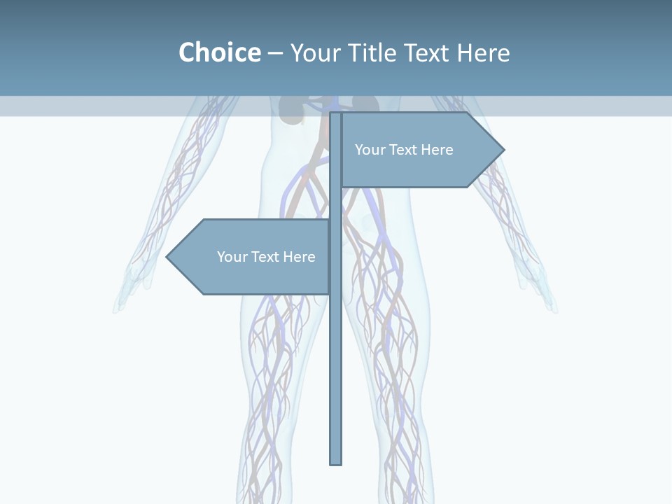 Cardiovascular System PowerPoint Template