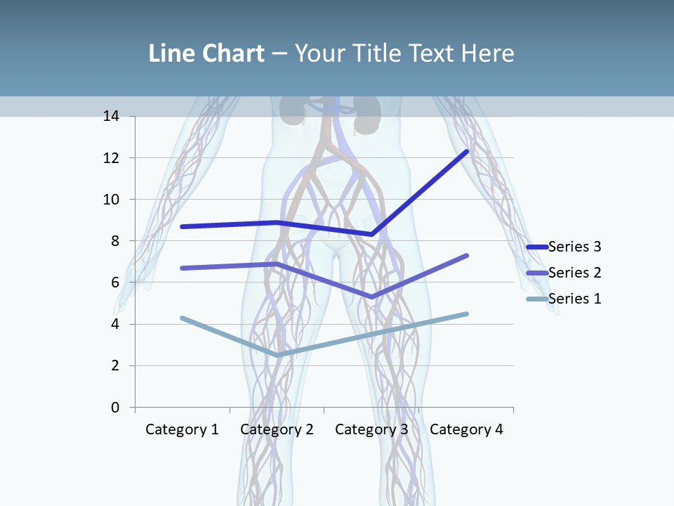 Cardiovascular System PowerPoint Template