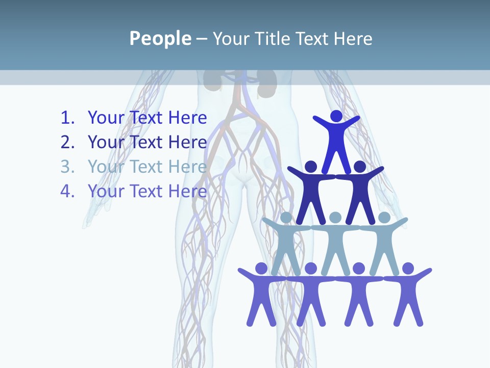 Cardiovascular System PowerPoint Template