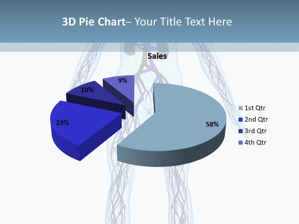 Cardiovascular System PowerPoint Template